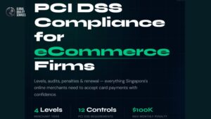 Read more about the article PCI DSS Compliance for eCommerce Firms